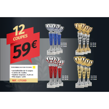 Lot de 12 coupes