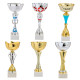 LOT DE 6 COUPES