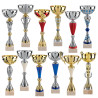 Lot de 12 coupes