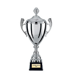COUPE CLASSIQUE ARGENT HAUTEUR 53 CM